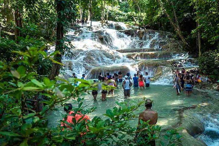 Dunn's River Falls Tour from Montego Bay Hotels - Image 3