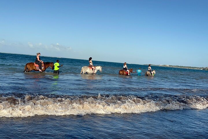Dunn's River, Horse Back, Blue Hole Secret Falls from Montego Bay - Image 1