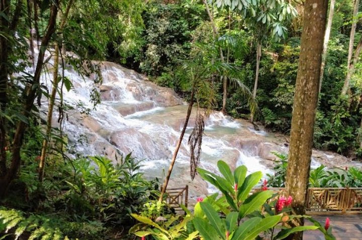 Dunns River, Margaritaville Beach, Riving Tubing and Blue Hole Private Tour - Image 4