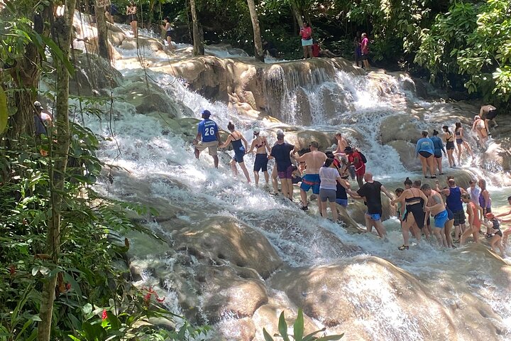 Dunns River Private Tour  - Image 5