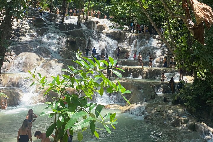 Dunns River Private Tour  - Image 4