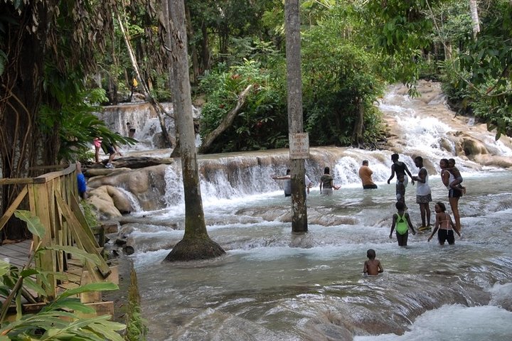 Dunn's River Tour from Falmouth - Image 4