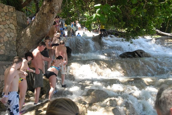 Dunn's River Tour from Falmouth - Image 5