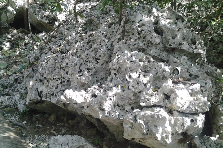 Exploring historic cave  - Image 2