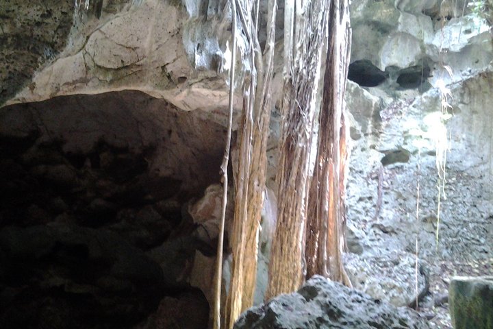 Exploring historic cave  - Image 5