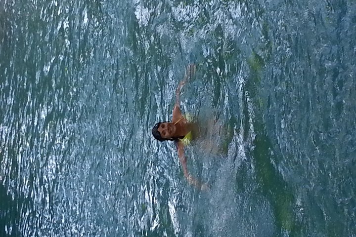 Falmouth Dunns River Falls and Blue Hole Excursion - Image 5