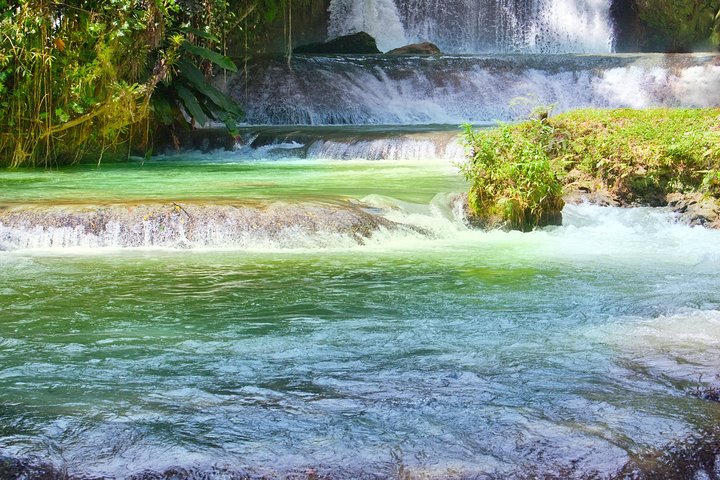 Falmouth Dunns River Falls and Blue Hole Excursion - Image 2