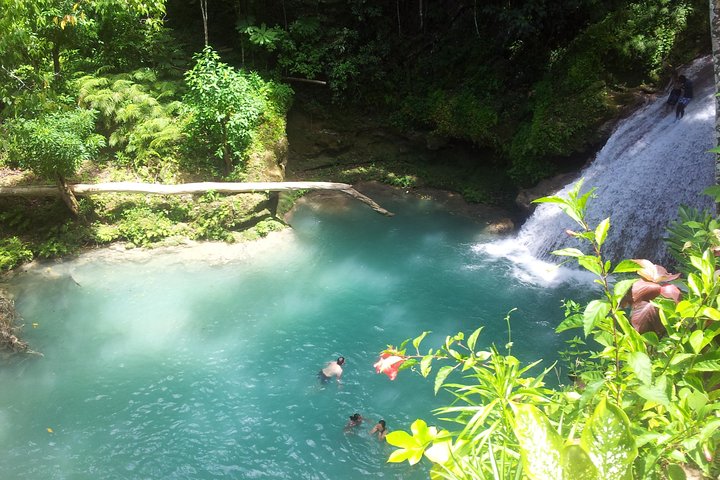 Falmouth Dunns River Falls and Blue Hole Excursion - Image 1