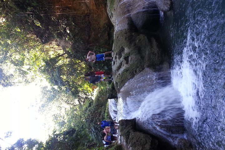 Falmouth Dunns River Falls and Blue Hole Excursion - Image 3