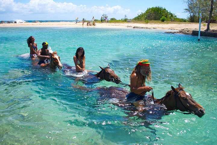 Falmouth Shore Excursion: Braco Stables Horseback Ride and Swim - Image 5