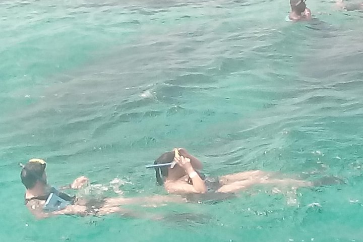 Falmouth Shore Excursion: Private Snorkel Tour - Image 3