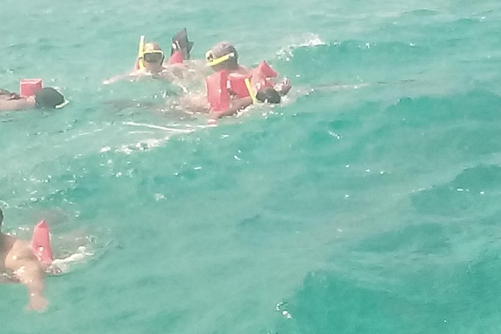 Falmouth Shore Excursion: Private Snorkel Tour - Image 4