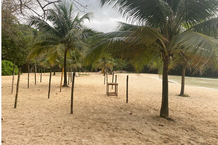 Frenchman’s Cove Beach Inclusive Tour From Montego Bay  - Image 3