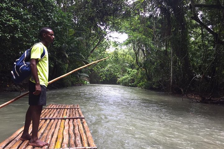 Full-Day Blue Hole and Zipline Private Tour from Falmouth - Image 4