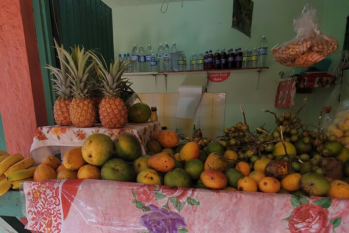 Full-Day Guided Tour to Dunns River Falls & shopping with lunch  - Image 5