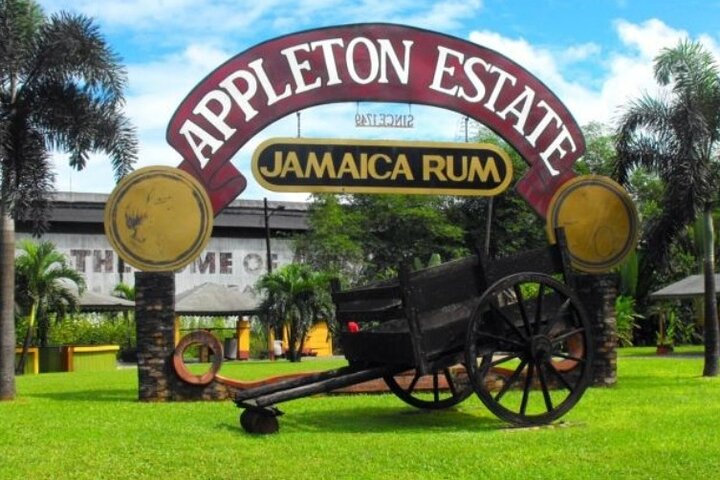 Full Day YS Falls and Appleton Estate Tour from Montego Bay - Image 1