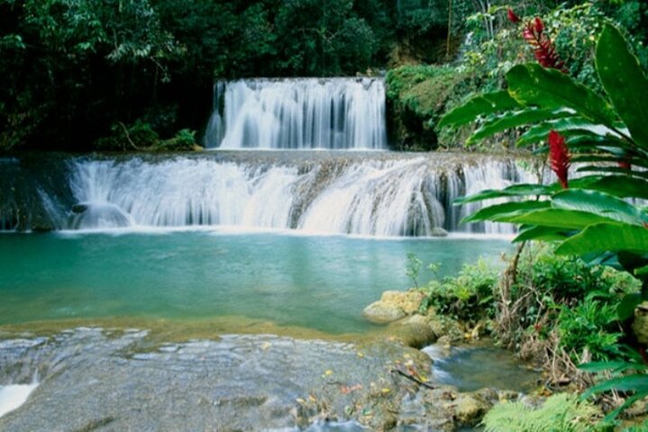 Full Day YS Falls and Appleton Estate Tour from Montego Bay - Image 3