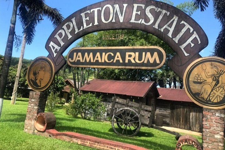 Full Day YS Falls and Appleton Estate Tour from Montego Bay - Image 2