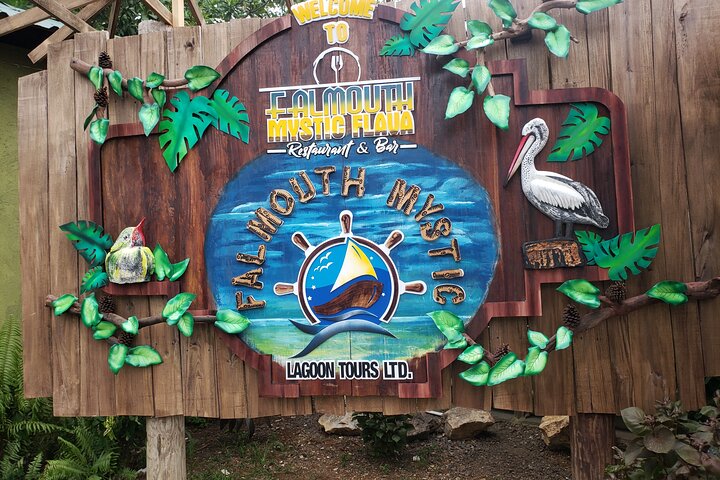 Glistening Waters Luminous Lagoon Tour from Montego Bay  - Image 4