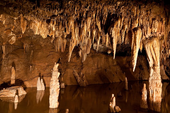 Green Grotto Caves Excursion from Falmouth - Image 5