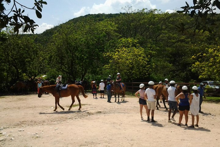 Green Grotto Caves Horseback Riding Adventure from Montego Bay - Image 2