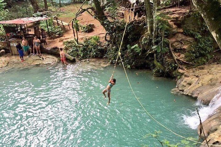 Half Day Tour to Dunn's River Falls Park and Blue Hole - Image 1