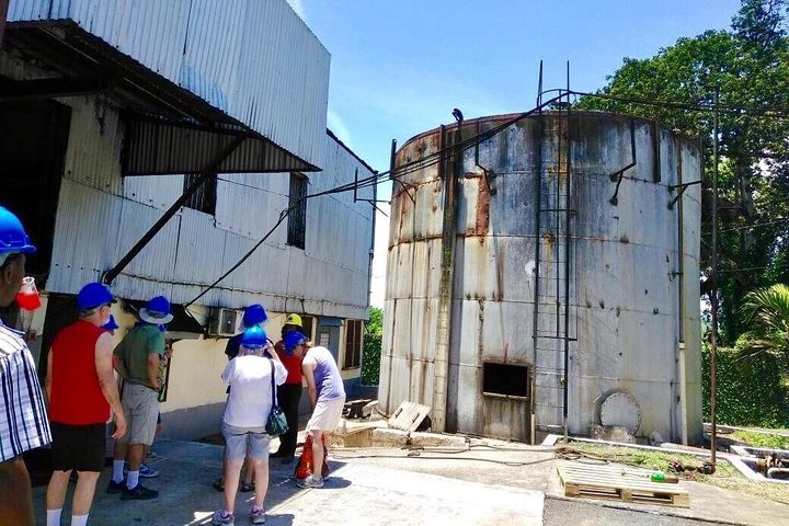 Hampden Rum Distillery / Montego Bay Highlight Tour - Image 4