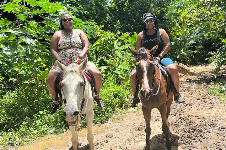 Horse Back Riding and White River Rafting from Montego Bay - Image 3