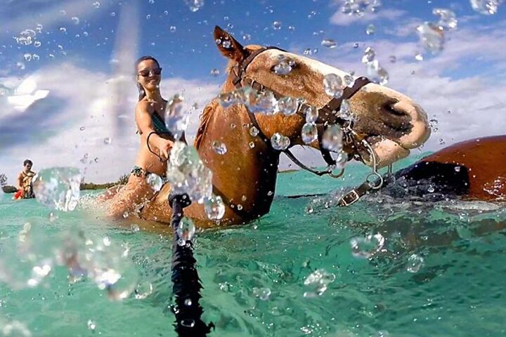 Horseback Ride Adventure Activity Inclusive With Transportation From Montego Bay - Image 1