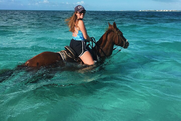 Horseback Ride Adventure Activity Inclusive With Transportation From Montego Bay - Image 2