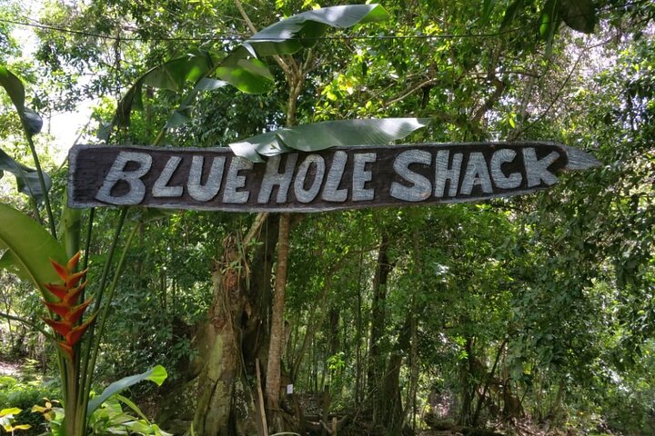 Horseback Ride, Bamboo Rafting and Bluehole/Secret Falls Tour from Montego Bay - Image 3