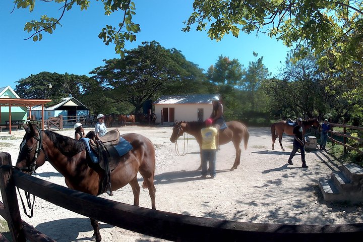 Horseback ride n Swim - Image 4