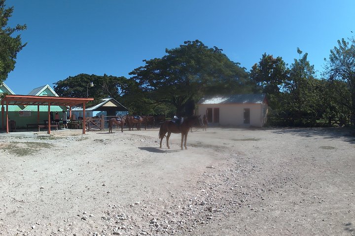 Horseback ride n Swim - Image 2