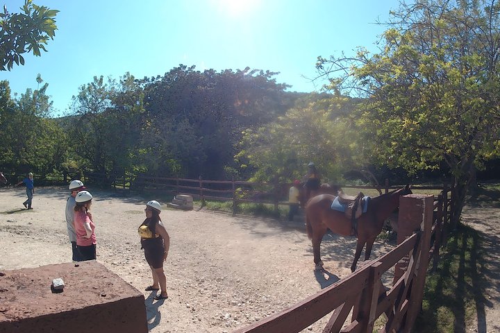 Horseback ride n Swim - Image 3