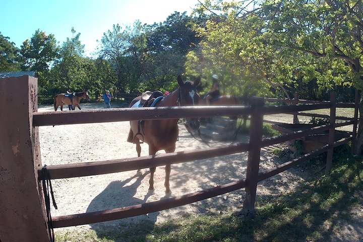 Horseback ride n Swim - Image 5