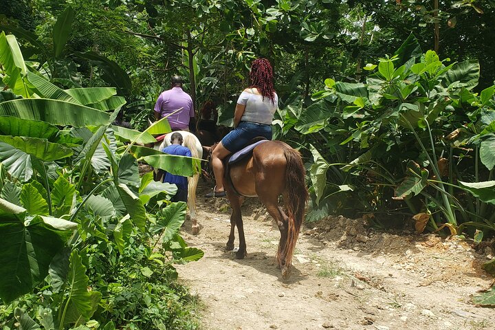Horseback 'Ride N Swim' & Dunns River Falls from Montego Bay - Image 1