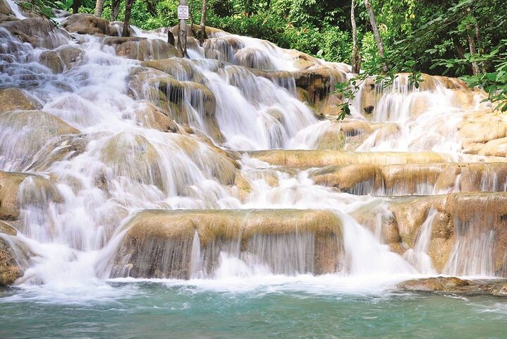 Horseback Riding and Dunns River Falls  - Image 4
