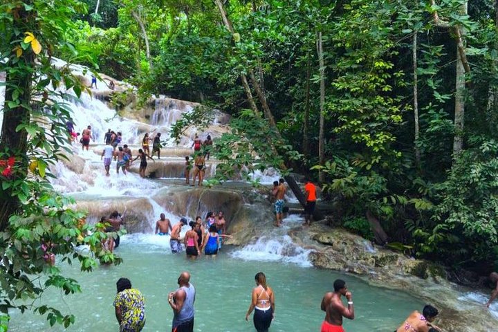 Horseback Riding and Dunns River Falls  - Image 1