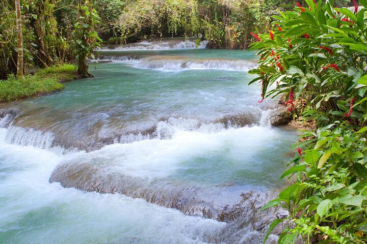 Horseback Riding and Dunns River Falls  - Image 3
