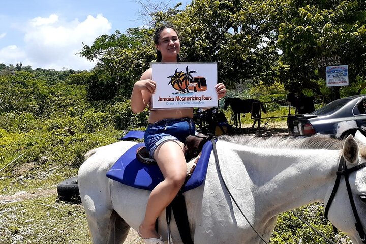 Horseback Riding and Dunns River Falls  - Image 5