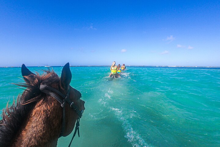 Horseback Riding and River Tubing Combo from Montego Bay - Image 1
