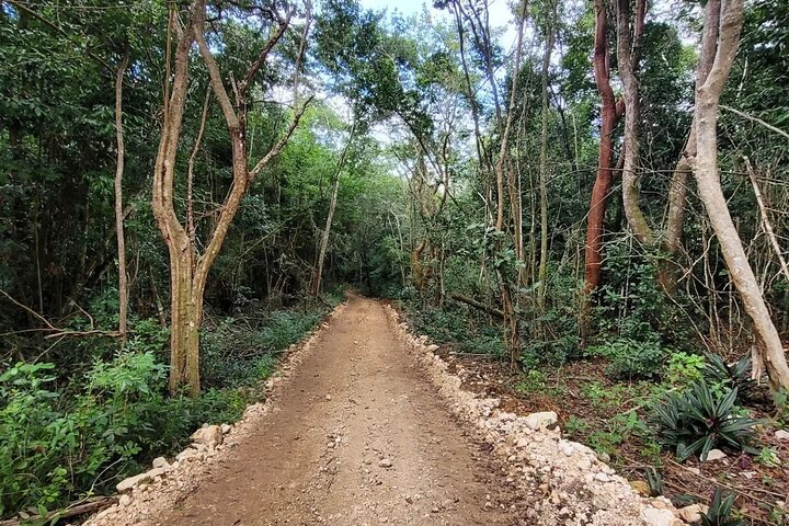 Horseback Riding, ATV & More in the Mountains of Montego Bay - Image 4