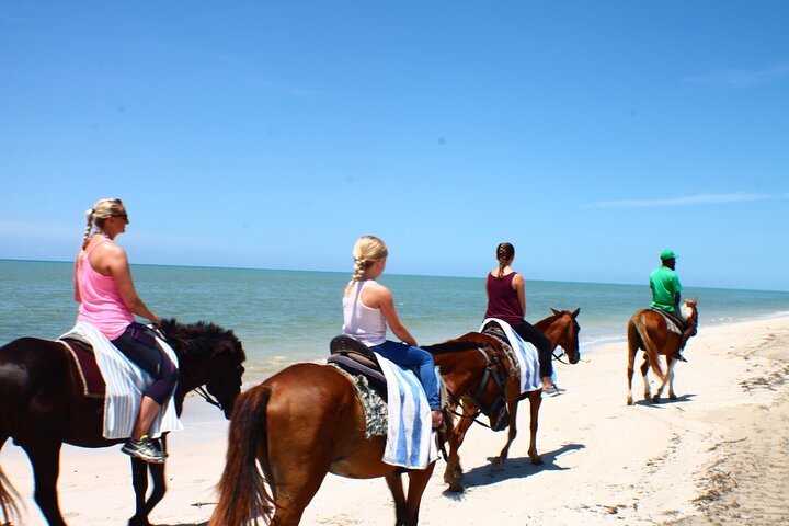 Horseback Riding, Blue Hole, Dunn's River, River Rafting/Tubing Private Tour - Image 5