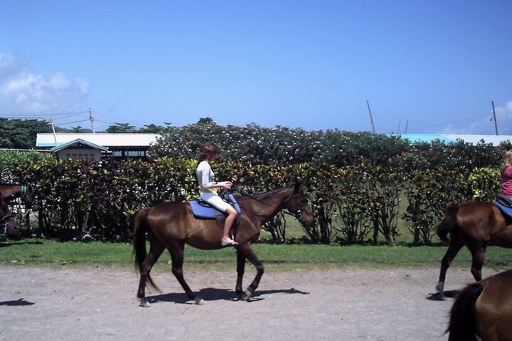 Horseback Riding , Blue Hole Secret Falls and River Tubing & River Rafting Tour - Image 2