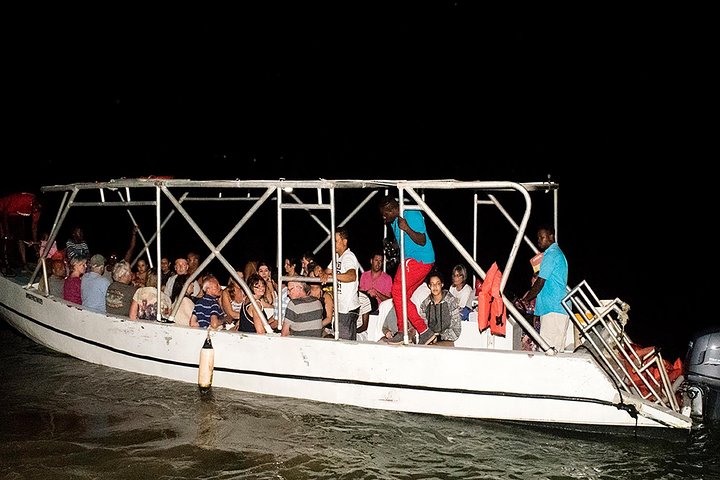 Jamaica Super Saver: Montego Bay & Rose Hall plus Mystic Lagoon Night Cruise - Image 5