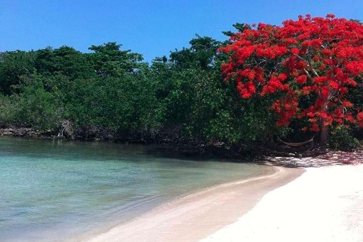 Jamaica's Half Moon Beach & Calico Jack's Private Island Excursion - Image 4