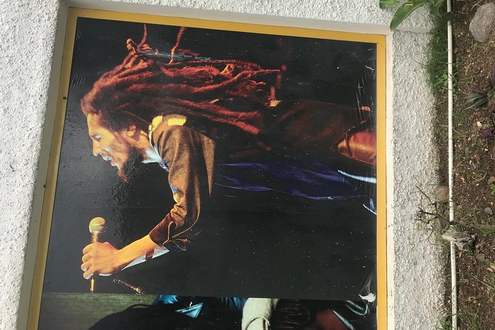 Kingston Tour to Bob Marley Museum and Devon House - Image 2