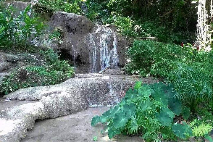 Konoko Falls and Garden Tour from Falmouth - Image 2