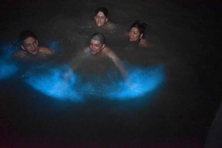  Luminous Lagoon Experience in Falmouth with private Transfer - Image 3