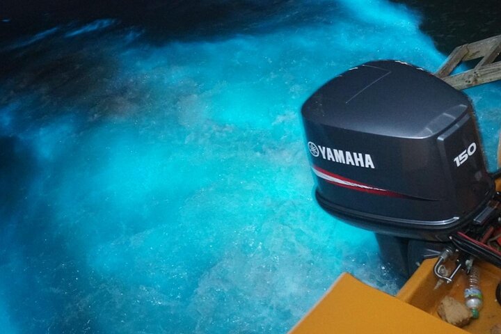 Luminous Lagoon Night Experience From Montego Bay - Image 3